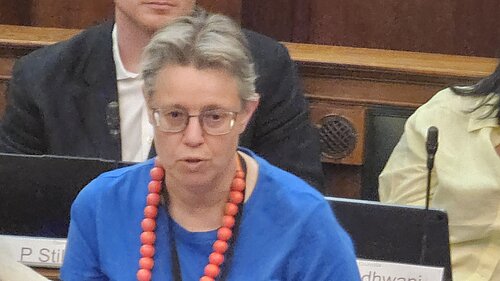 Cllr Janet Grauberg